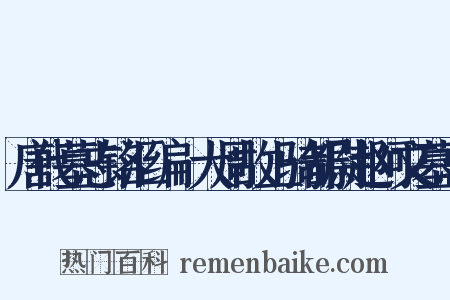 唐代墓志铭汇编·大周故上骑都尉赵阿文墓志是什么意思的图片